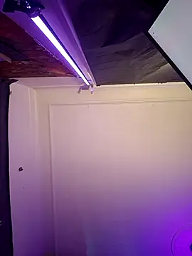 Snapshot of Tony_Torrente chatting on March 17, 2026, 7:55 am Tony Torrente online show from March 17, 2026, 7:55 am