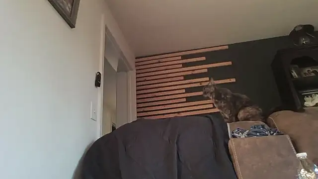 keiferkriss online show from January 7, 2026, 9:31 pm