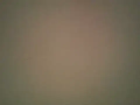 lovense test04 online show from October 22, 2025, 2:33 am