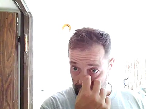 zefside42 online show from November 5, 2025, 11:35 am