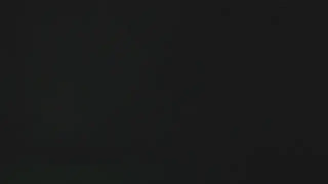 eleecttraa 12 online show from January 17, 2026, 10:08 am