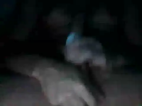 aghiot online show from January 8, 2026, 4:40 am