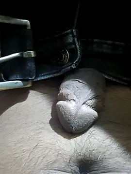 Playboy01  online show from February 21, 2025, 8:27 pm