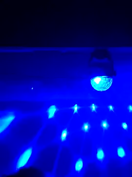 AmazonianMistress online show from February 16, 2025, 3:59 pm