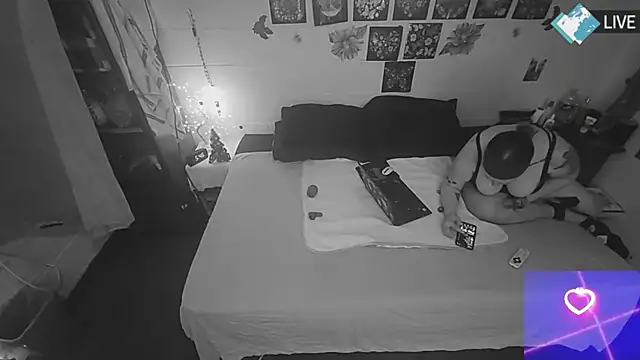 Snapshot of DreamCadian chatting on December 23, 2024, 11:47 am DreamCadian online show from December 23, 2024, 11:47 am