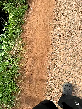 Black-mamba-madingo online show from October 15, 2025, 4:04 pm