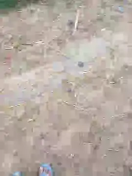 kalakim online show from February 4, 2025, 2:28 am