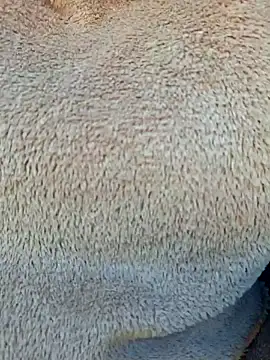 Priya Bong online show from January 15, 2026, 4:05 am