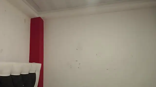 Snapshot of Katty_Bones chatting on November 5, 2025, 1:36 pm Katty Bones online show from November 5, 2025, 1:36 pm