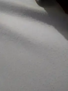  Miaaleon online show from November 16, 2025, 10:42 am