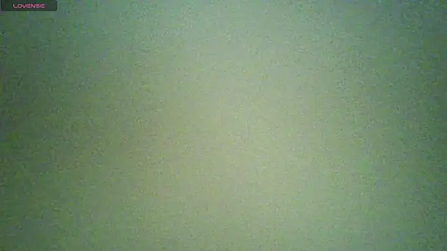 Snapshot of LiLi_CC2023 chatting on December 12, 2024, 10:20 pm LiLi CC2023 online show from December 12, 2024, 10:20 pm