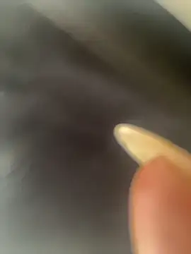 Snapshot of DarianaGuzz chatting on October 31, 2025, 10:16 pm DarianaGuzz online show from October 31, 2025, 10:16 pm