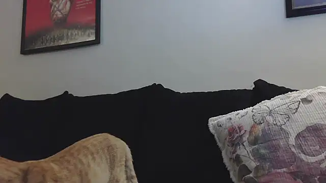 Snapshot of CrystalLakeXO chatting on September 12, 2025, 4:23 am CrystalLakeXO online show from September 12, 2025, 4:23 am