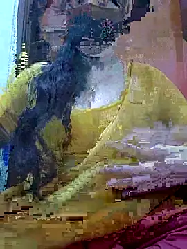 Snapshot of Anjel_Sadia chatting on February 27, 2026, 1:28 am Anjel Sadia online show from February 27, 2026, 1:28 am