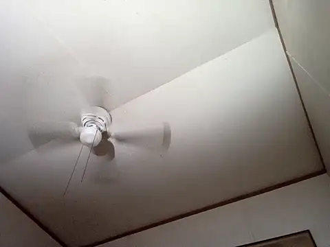 Xoc8  online show from December 14, 2025, 4:34 pm