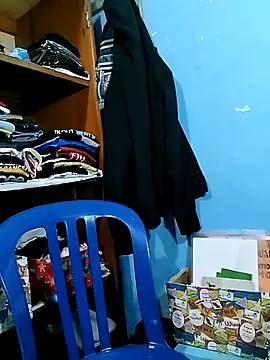 Dvan online show from November 11, 2025, 3:56 am