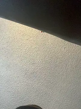 Snapshot of Miguel16i chatting on February 26, 2025, 4:49 pm Miguel16i online show from February 26, 2025, 4:49 pm