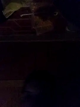 Snapshot of Elvergon3456 chatting on October 28, 2025, 4:57 am Elvergon3456 online show from October 28, 2025, 4:57 am