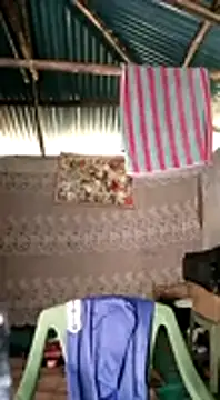 Brian johns online show from December 31, 2024, 12:04 pm