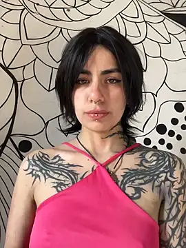  Artemisa X online show from April 7, 2026, 12:40 pm