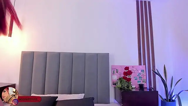 Scarlett Morgan  online show from November 24, 2025, 7:25 pm