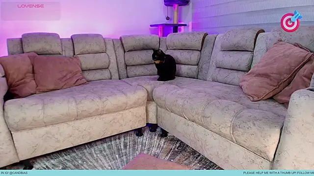 Niico Cruz online show from September 14, 2025, 5:30 am