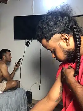 gavi 19cm online show from February 14, 2026, 2:01 am