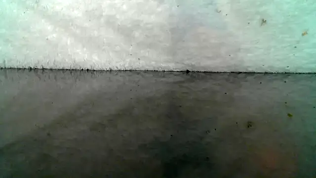 0815lukas2024 online show from October 22, 2025, 9:03 pm