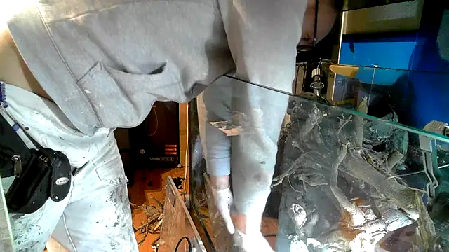 0815lukas2024 online show from October 19, 2025, 10:56 pm