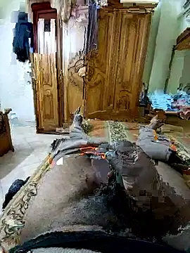 Snapshot of ListedLoin chatting on March 14, 2026, 9:15 am ListedLoin online show from March 14, 2026, 9:15 am