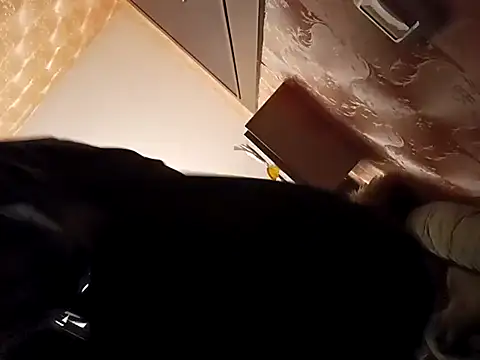 Snapshot of hugebobbs chatting on March 18, 2025, 2:28 pm hugebobbs online show from March 18, 2025, 2:28 pm