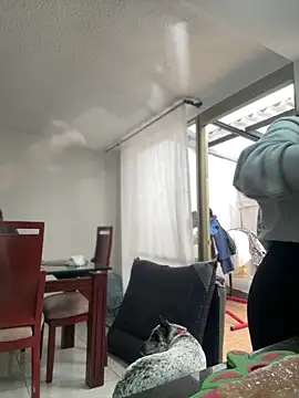 Snapshot of Salome_golvert chatting on March 2, 2026, 8:38 pm Salome golvert online show from March 2, 2026, 8:38 pm