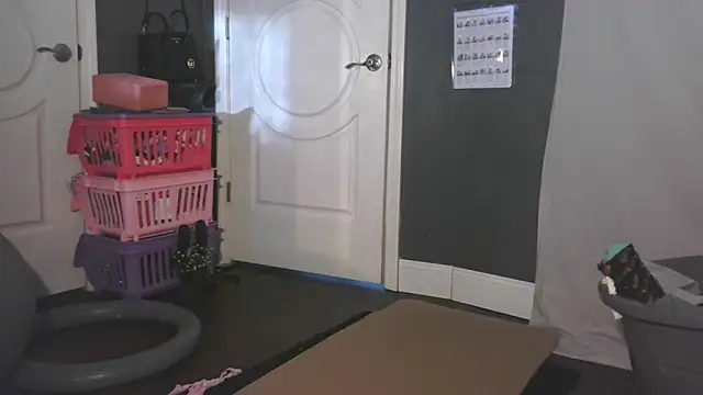 paytonkelly online show from March 12, 2026, 9:52 pm