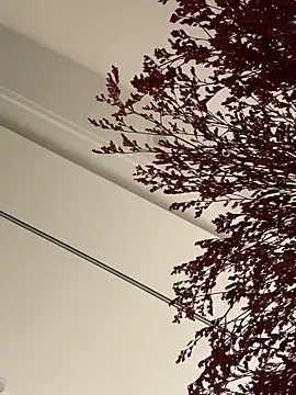 palzkybi123 online show from October 22, 2025, 12:04 pm