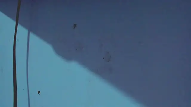 Kimberly thompsom online show from January 31, 2025, 11:45 pm