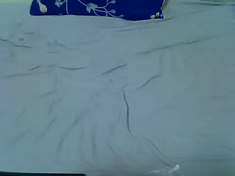 Snapshot of pointy_bloom chatting on April 1, 2026, 11:23 pm pointy bloom online show from April 1, 2026, 11:23 pm