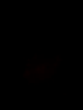 Snapshot of Noviostoxico chatting on October 29, 2025, 9:36 pm Noviostoxico online show from October 29, 2025, 9:36 pm