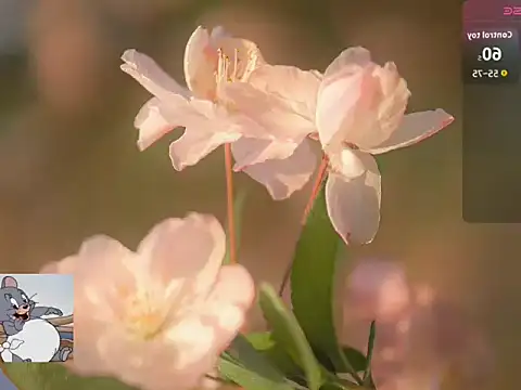 Lovensetest online show from October 22, 2025, 7:19 am