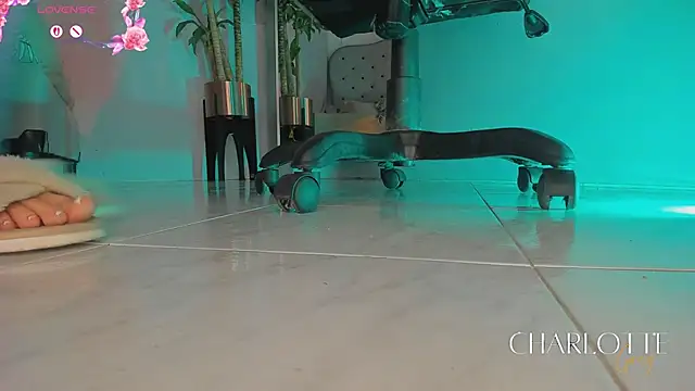 Snapshot of charlotte__grey chatting on February 24, 2026, 8:21 pm charlotte grey online show from February 24, 2026, 8:21 pm