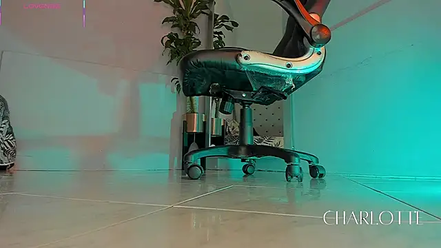 charlotte  grey online show from November 20, 2025, 8:42 pm