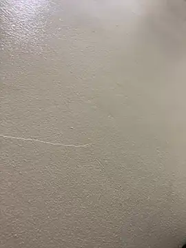 Louis Baby online show from January 26, 2025, 4:41 pm