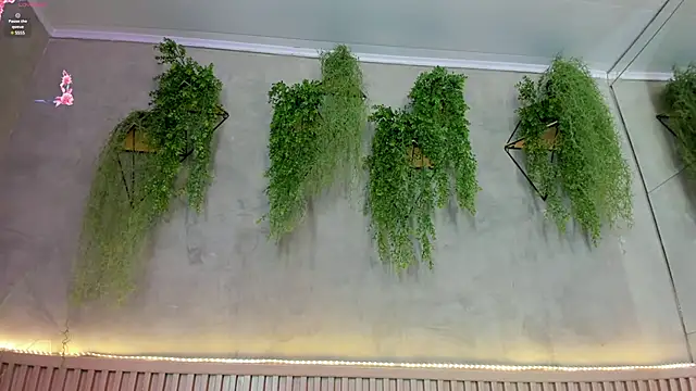 Lana Lann online show from March 13, 2025, 3:28 pm