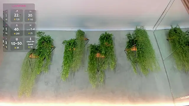 Lana Lann online show from November 23, 2025, 12:37 pm