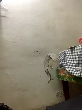 Snapshot of funpharoh1 chatting on November 10, 2025, 7:41 pm funpharoh1 online show from November 10, 2025, 7:41 pm