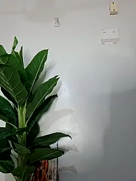 korah01 online show from November 14, 2025, 2:59 am