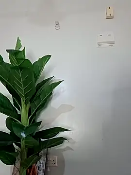 korah01 online show from November 19, 2025, 8:03 am