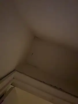 prettlovely14 online show from February 20, 2026, 4:42 am