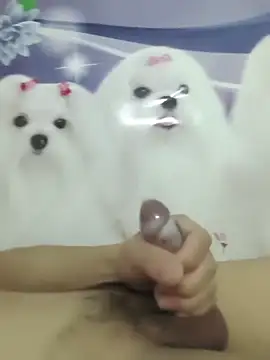 Snapshot of 826687 chatting on March 2, 2026, 1:40 pm 826687 online show from March 2, 2026, 1:40 pm