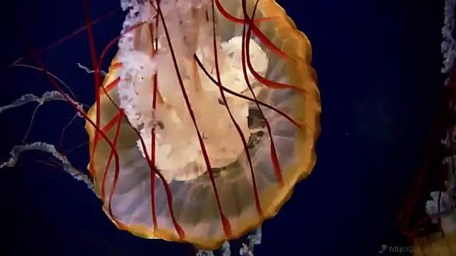 Snapshot of streamy_test12 chatting on September 19, 2025, 10:19 am streamy test12 online show from September 19, 2025, 10:19 am