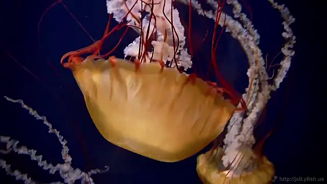 Snapshot of streamy_test12 chatting on February 18, 2026, 9:22 pm streamy test12 online show from February 18, 2026, 9:22 pm